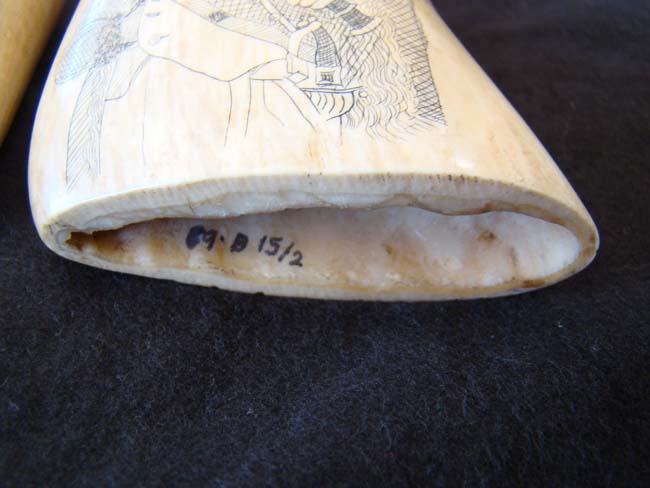 A wonderful pair of 19th century scrimshawed whales' teeth depicting Napoleon and Josephine — image 8